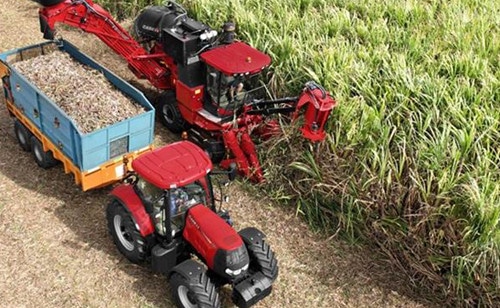 Austoft 8010 and 8810 sugarcane harvesters